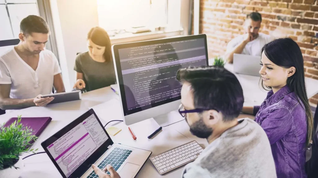 Professional Web Development Services